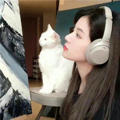 江山美人