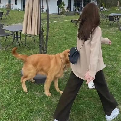 纯真小镇的夫人